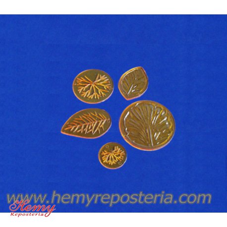 Marc de hojas transp.